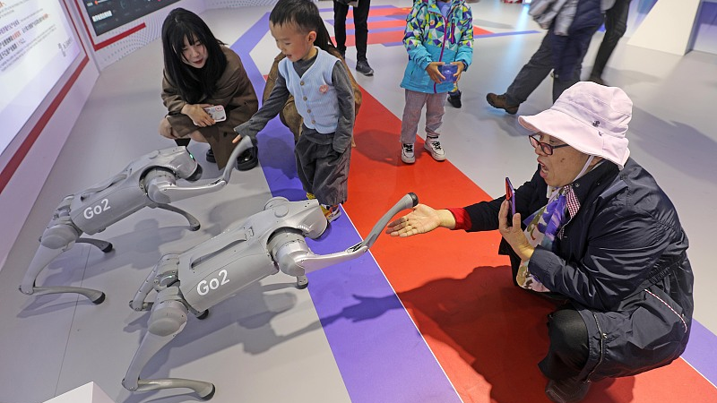 The robotic dogs stretch greet visitors at the second Global Digital Trade Expo in Hangzhou, November 26, 2023. /CFP