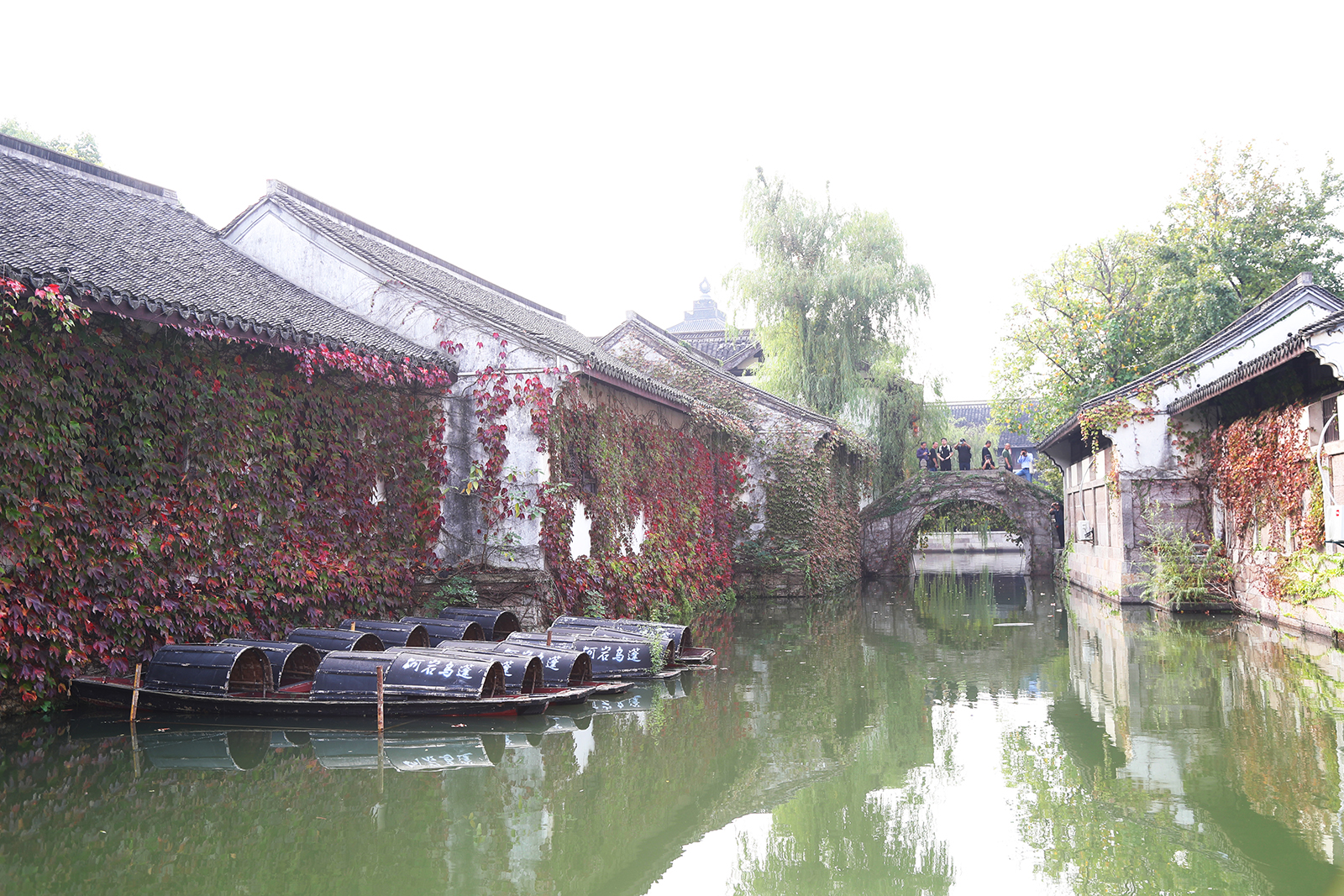 A view of Luzhen featuring traditional black-and-white residences, arched stone bridges and traditional black-topped boats in Shaoxing, Zhejiang Province /CGTN