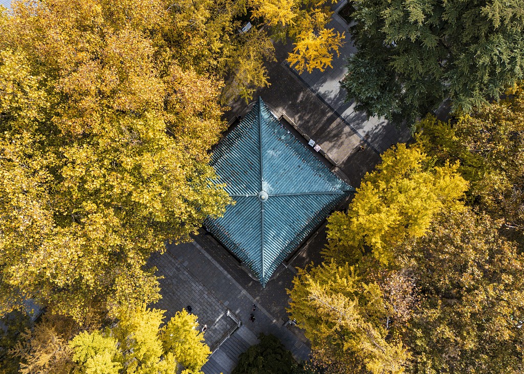 Photo taken on December 1, 2023 shows the Lansheng Pavilion among ginkgo trees in Nanjing, Jiangsu Province. /CFP