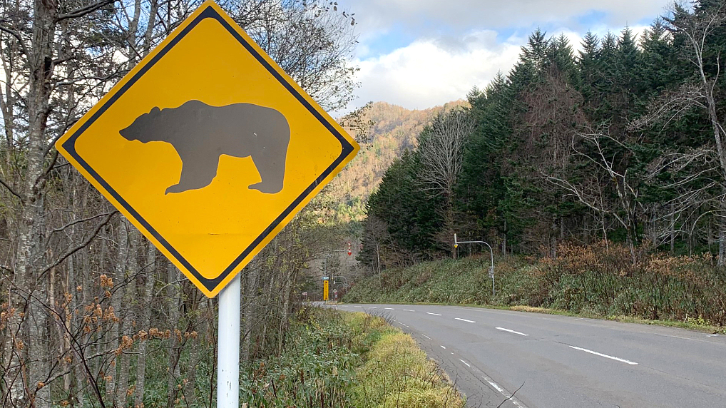 Photograph shows a road sign to beware of bears in Ashibetsu, Hokkaido, northern Japan. /CFP