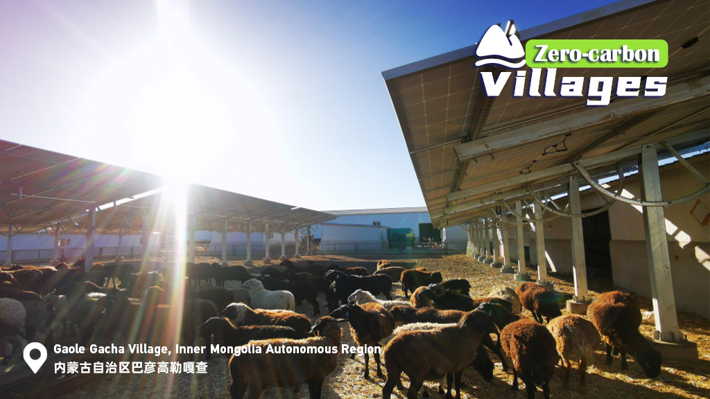 Herders benefit from sheep sheds made with solar panels