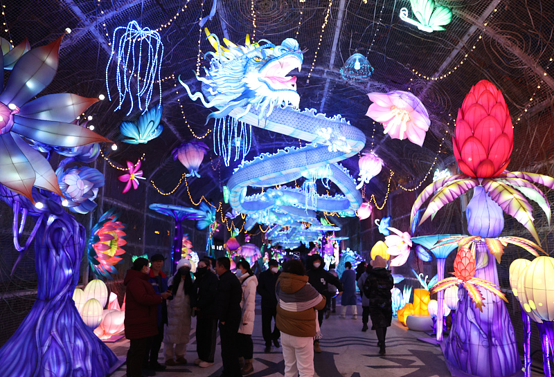 A series of colorful lanterns and light installations are on display at a popular tourist spot in Yinchuan City, Ningxia Hui Autonomous Region, attracting visitors to take photos, December 5, 2023. /CFP