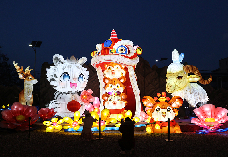 A series of colorful lanterns and light installations are on display at a popular tourist spot in Yinchuan City, Ningxia Hui Autonomous Region, attracting visitors to take photos, December 5, 2023. /CFP