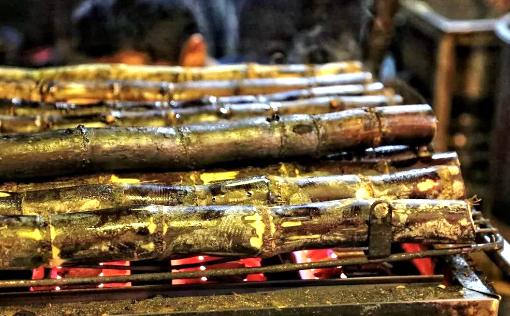 Grilled sugarcane is a popular snack in Hainan Province. /Photo provided to CGTN