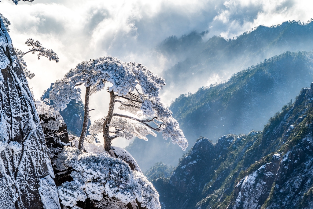 A file photo shows the famous Guest-Greeting Pine, a famous landmark on Huangshan Mountain, covered with snow in Anhui Province. /IC