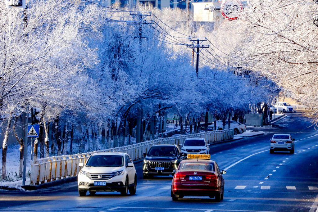A photo shows motorists driving past rime-covered trees in the Shuimogou Scenic Area of Urumqi, Xinjiang on December 5, 2023. /CFP