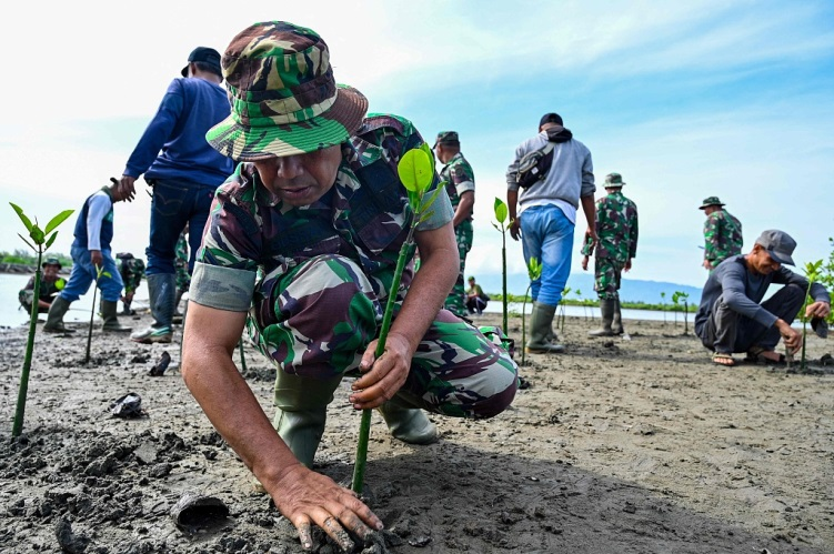 Indonesian soldiers and fishermen plant mangrove seeds as part of an environmental program at a coastal beach in Banda Aceh, Indonesia, October 18, 2023. /CFP