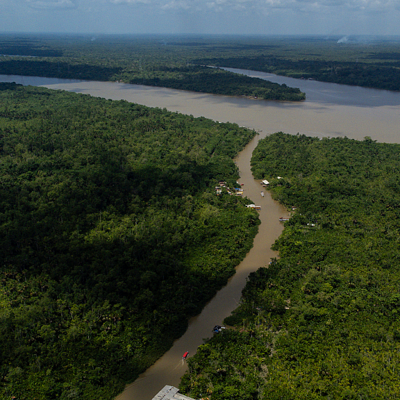 Deforestation In Brazilian Amazon Hits Record Low In November - CGTN