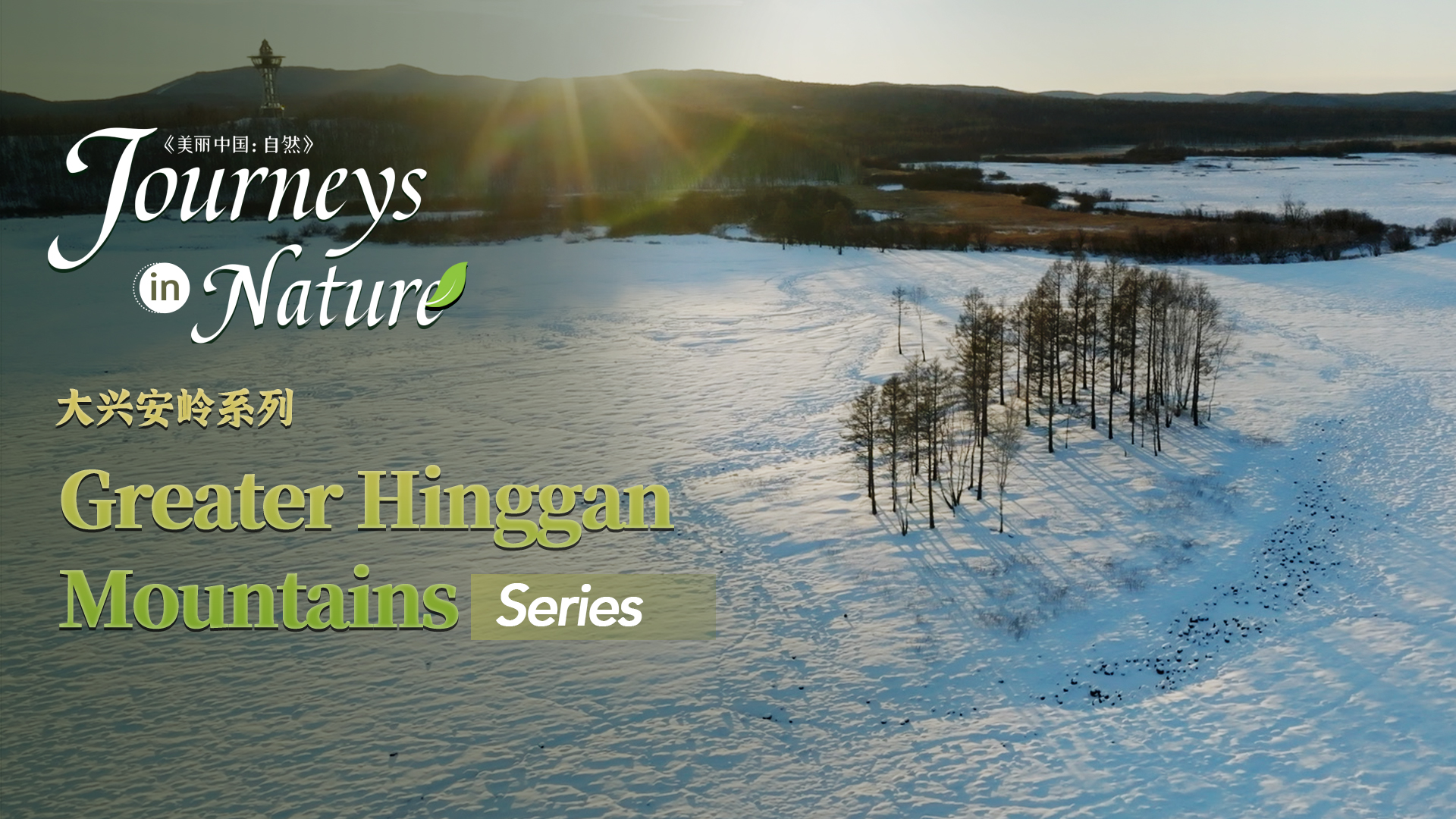 CGTN Nature presents 'Journeys in Nature: The Greater Hinggan Mountains Series'