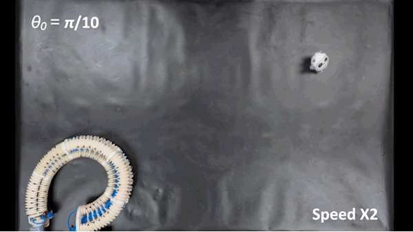 A soft robotic tentacle inspired by octopuses can grasp small objects in air or water. /Li Wen of Beihang University