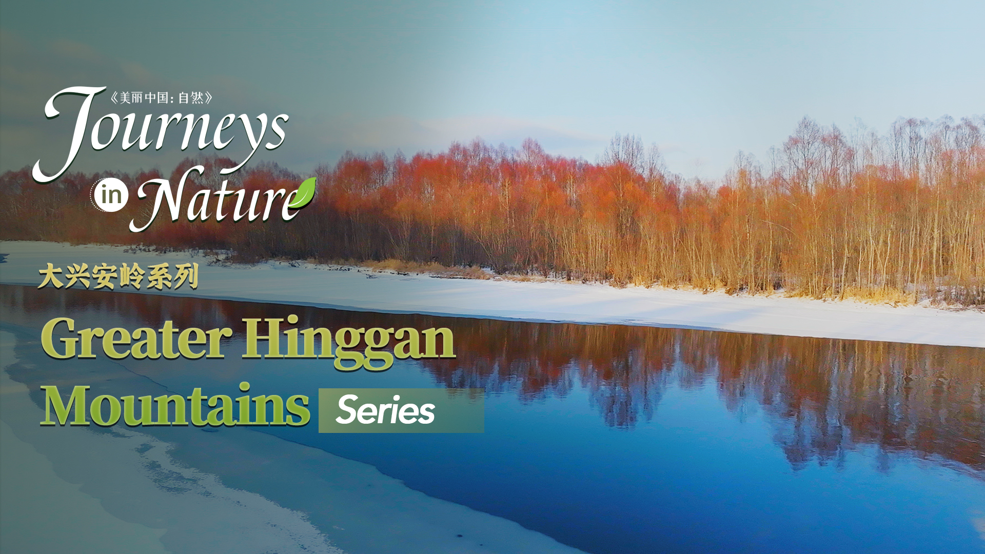Greater Hinggan Mountains Series Ep.1: Red willows along the icy river