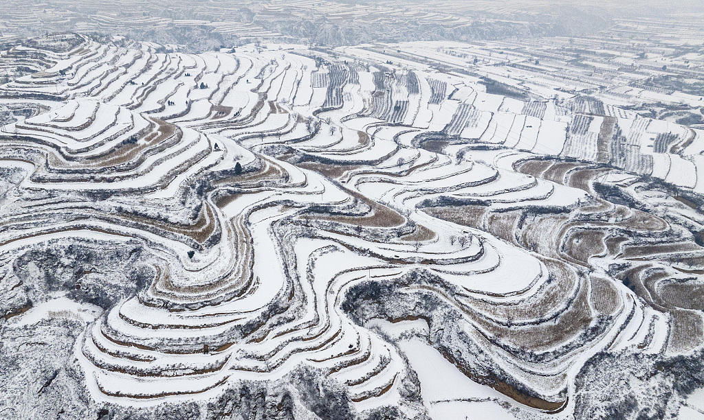 Aerial photo shows snow-covered terrace fields in Shanxi province, China, December 11. /CFP