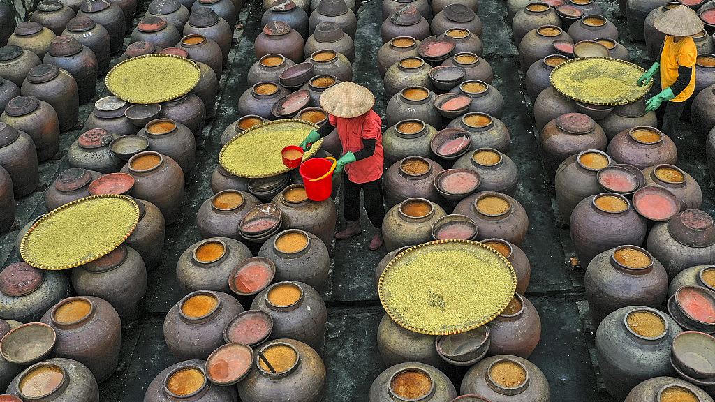 An undated photo shows locals surrounded by rows of pots as they prepare bright green ingredients to make soy sauce at Cu Da Ancient Village in Vietnam. /CFP