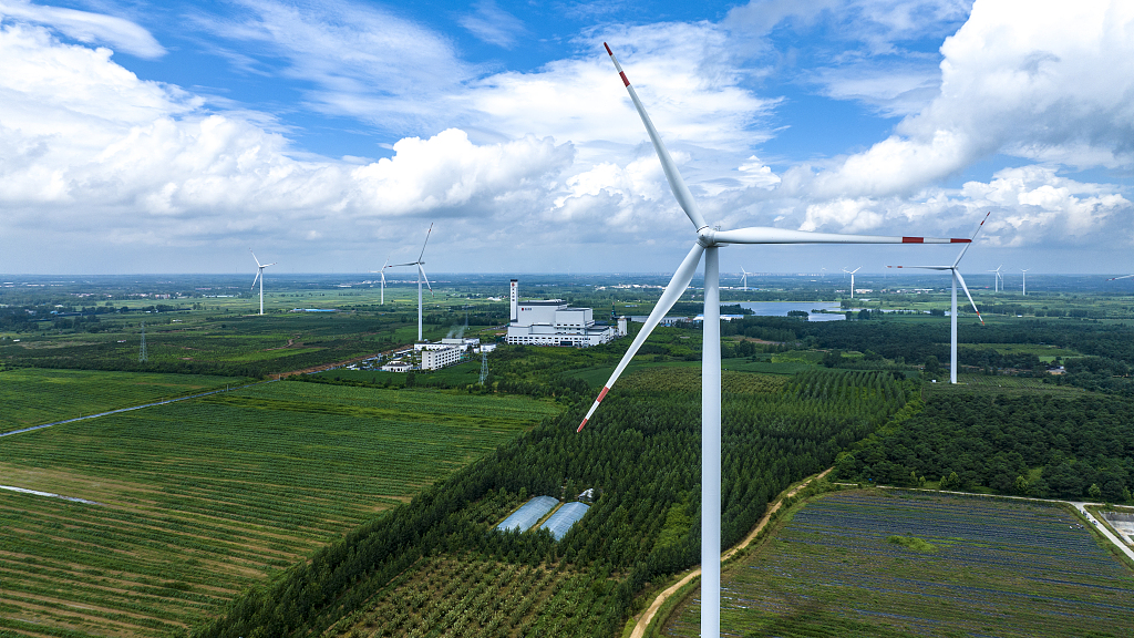 Wind turbines rotating with the wind in the ecological forest farm, Lianyungang, Jiangsu Province, China, July 28, 2023. /CFP