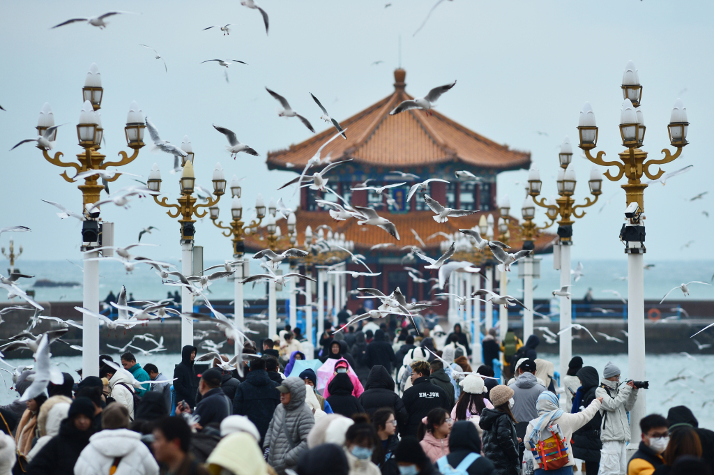 Visitors throng at a boardwalk to view gulls in Qingdao, Shandong Province on December 11, 2023. /CFP
