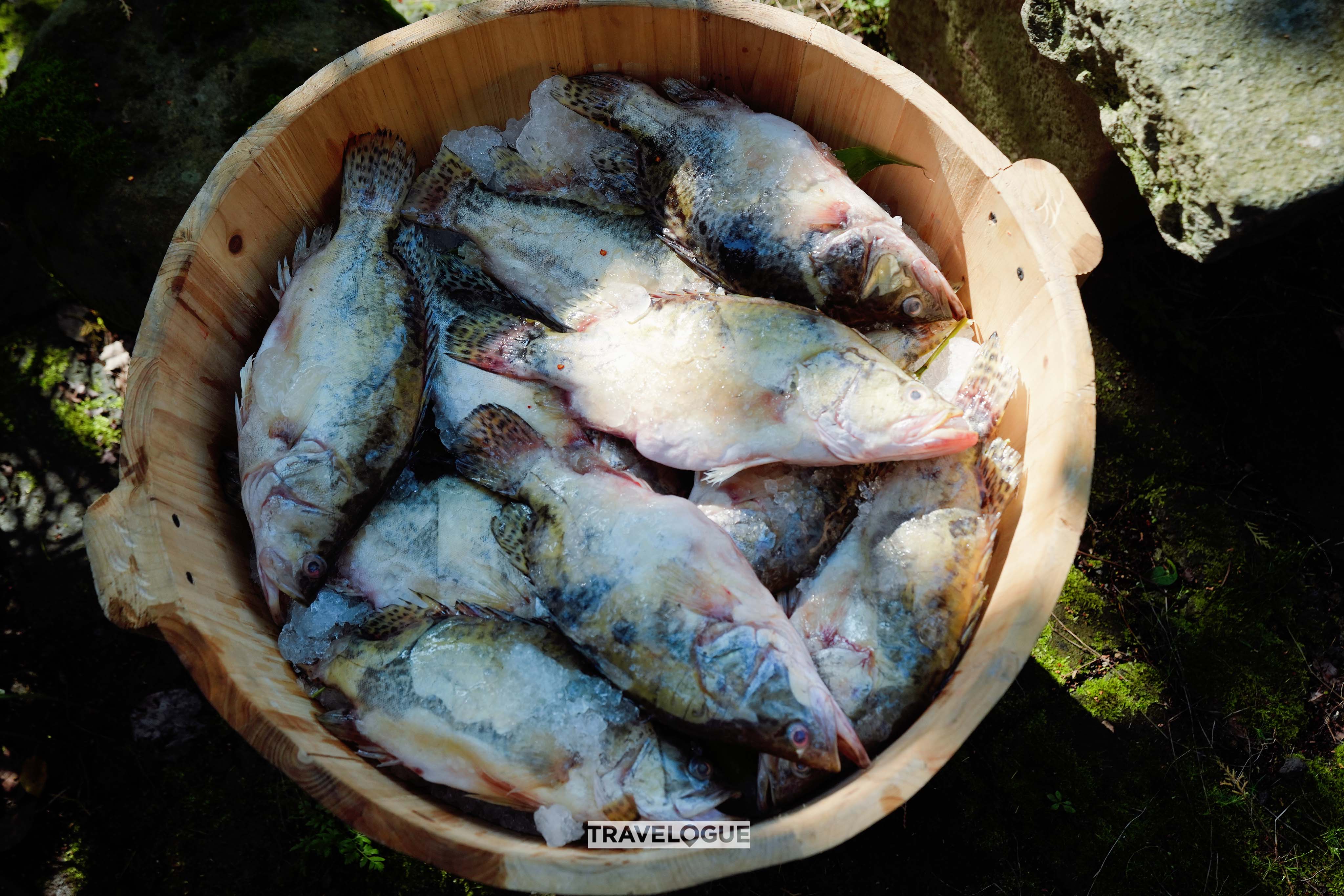 Marination is a key step preparing Stinky Mandarin Fish. /CGTN