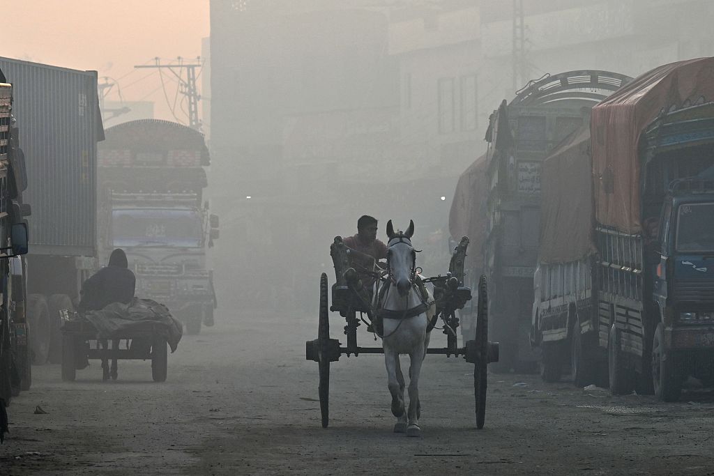 A man rides a horse cart amid dense smog in Lahore, Pakistan, December 4, 2023. /CFP