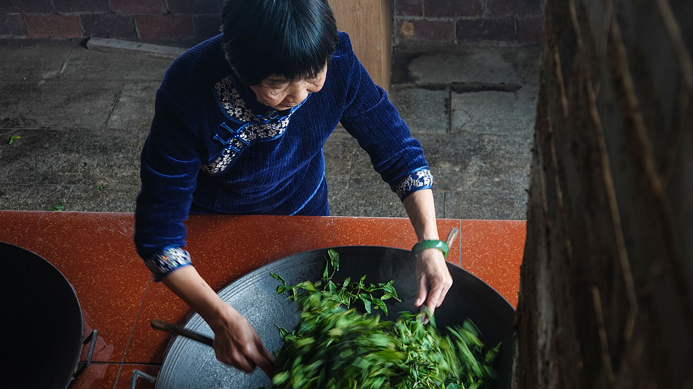 Savor the flavor of Guangxi in a cup of Liubao tea