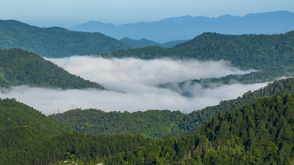 Live: The scenery of Wuzhi Mountain, the highest mountain in Hainan Province