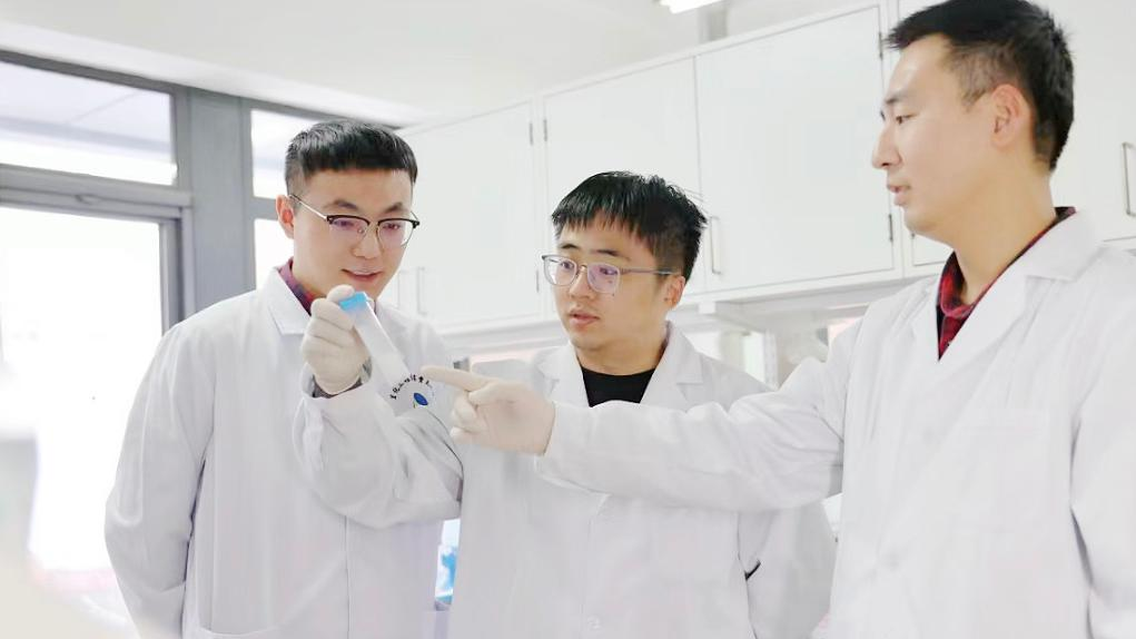 Researchers observe experimental samples at a laboratory in Beijing, capital of China, November 14, 2022. /IPE under CAS