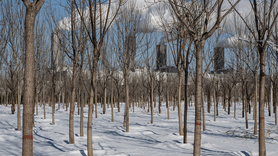 Smoke and water vapor rises from the stacks of a mixed gas-coal power plant in Beijing, China, December 16, 2023. /CFP