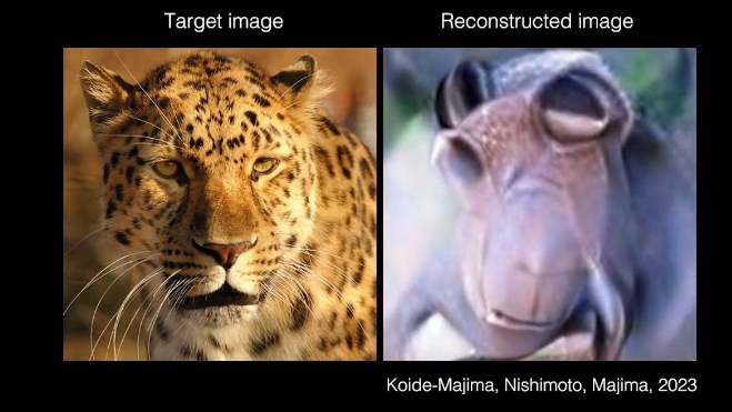 Supplied image of a leopard (L) and the reconstructed by generative AI using brain activity. /screenshot via sciencedirect.com