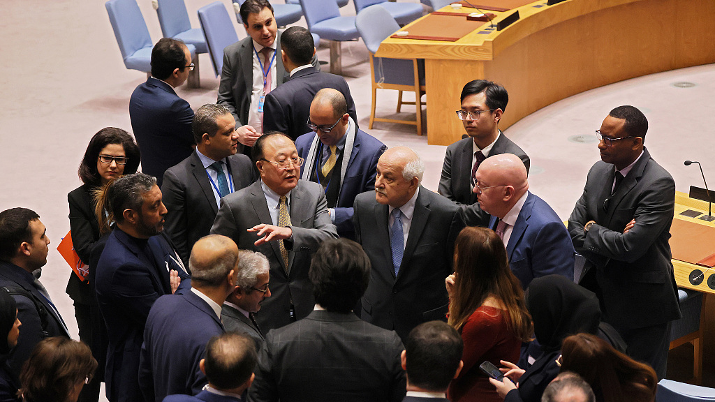 Palestinian Ambassador to the United Nations Riyad Mansour (4th R) listens to members of the UN Security Council as they break during a meeting on the Israel-Hamas conflict at the United Nations headquarters on December 19, 2023 in New York City. /CFP