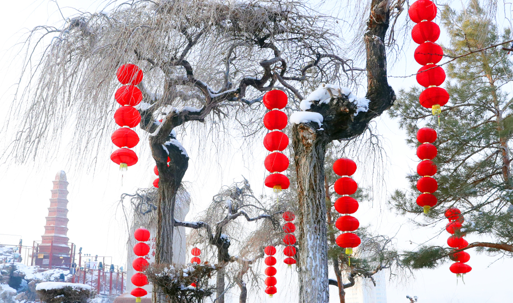 Red lanterns hang from a tree at a park in Urumqi, capital of northwest China's Xinjiang Uygur Autonomous Region, on December 20, 2023. /CFP