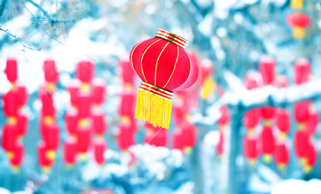 A red lantern swings in the breeze at a park in Urumqi, capital of northwest China's Xinjiang Uygur Autonomous Region, on December 20, 2023. /CFP