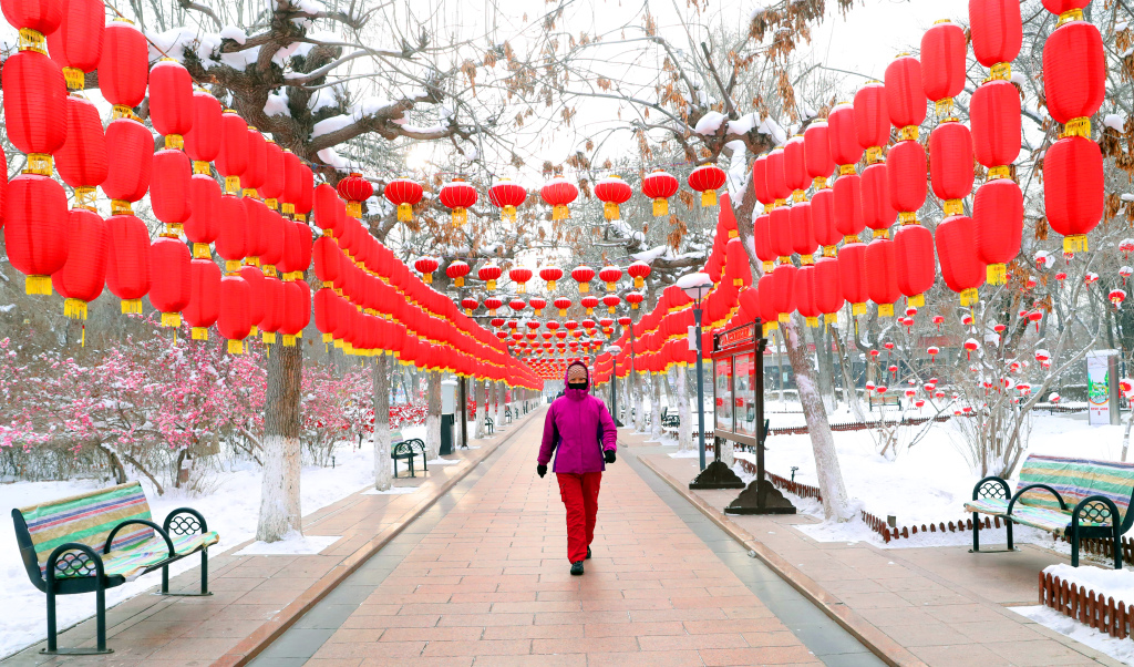 A park visitor ambles past red lanterns strung up in Urumqi, capital of northwest China's Xinjiang Uygur Autonomous Region, on December 20, 2023. /CFP