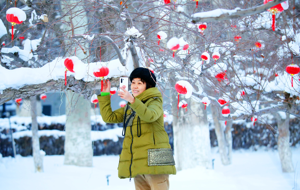 A visitor takes a photo of a snow-topped red lantern at a park in Urumqi, capital of northwest China's Xinjiang Uygur Autonomous Region, on December 20, 2023. /CFP