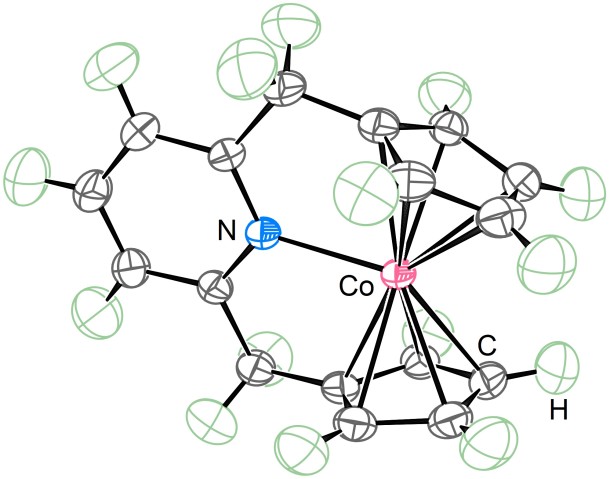 Crystal structure of the newly synthesized 21-electron metallocene compound showing the nitrogen (blue), cobalt (red), hydrogen (green) and carbon (grey) atoms. /OIST