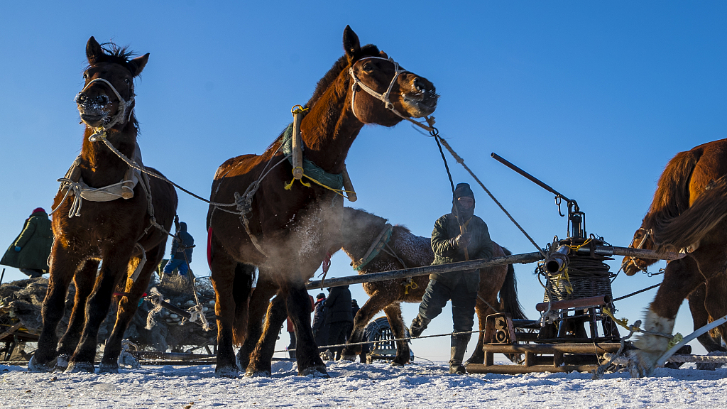 Live: Celebrating a bountiful year – 2023 winter ice fishing at Chagan Lake