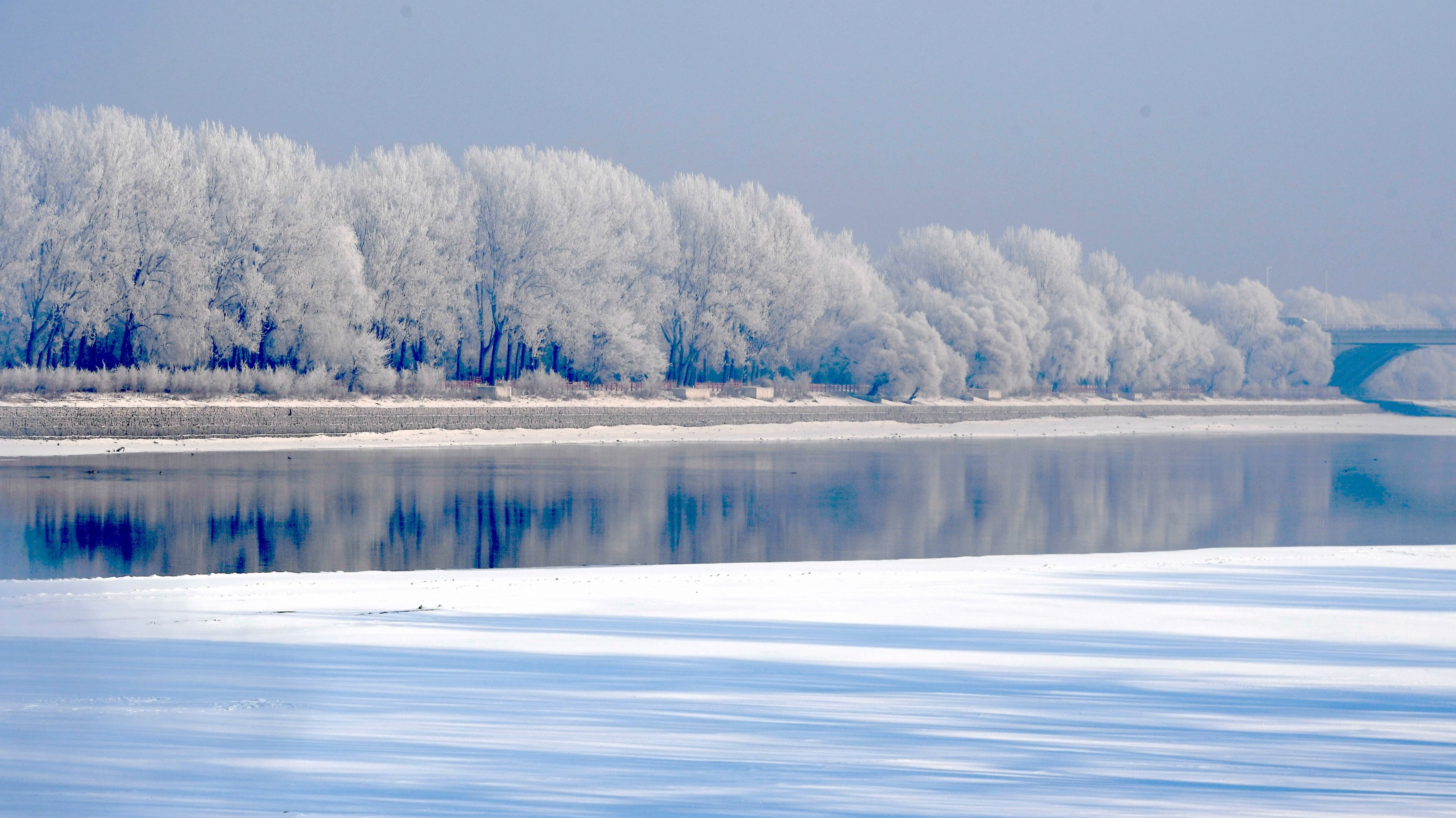 Trees lining the banks of the frozen Hunhe River in Shenyang, northeast China's Liaoning Province, are seen enveloped by rime on December 25, 2023./IC