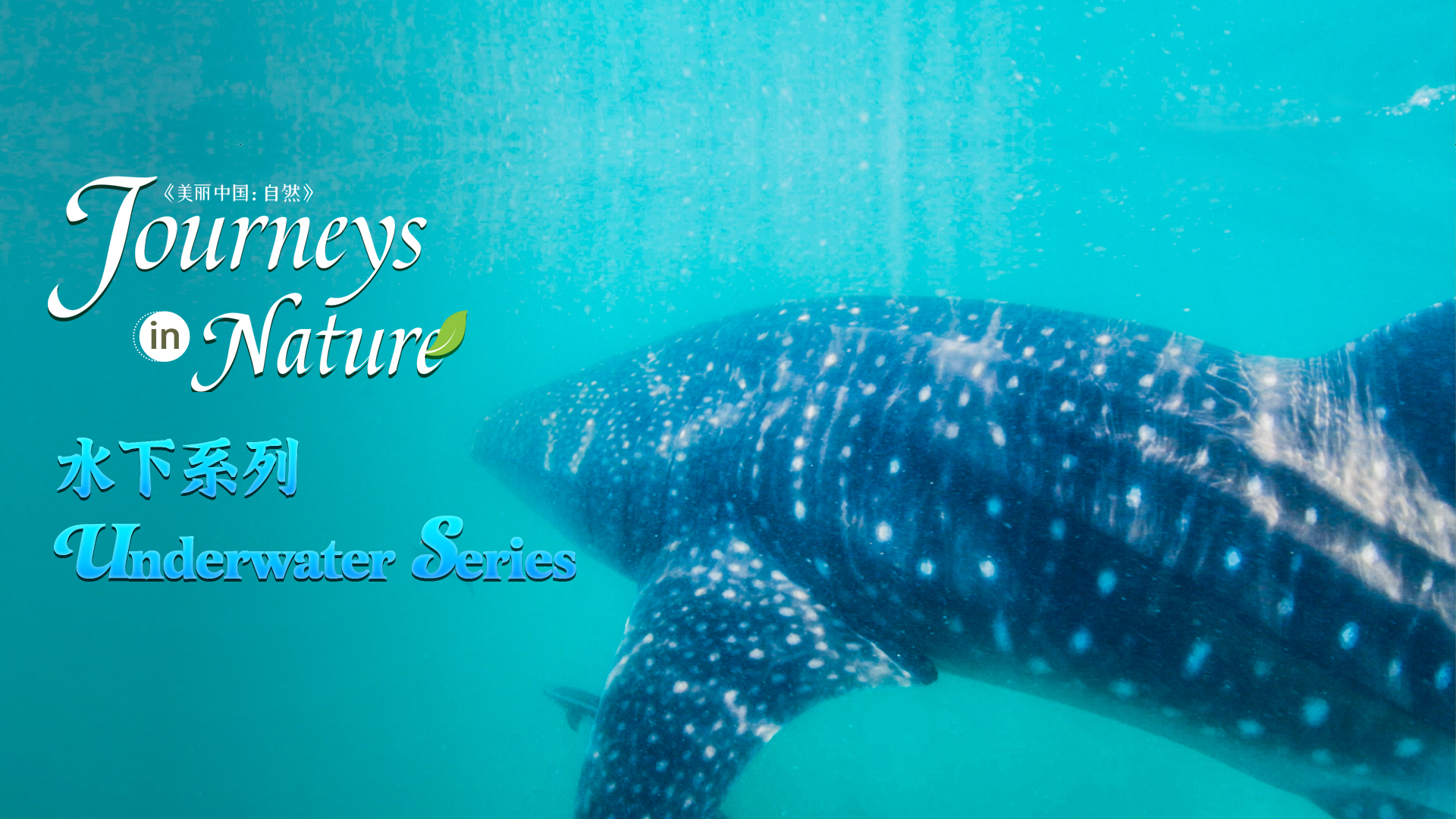 CGTN | Breaking News, China News, World News and Video