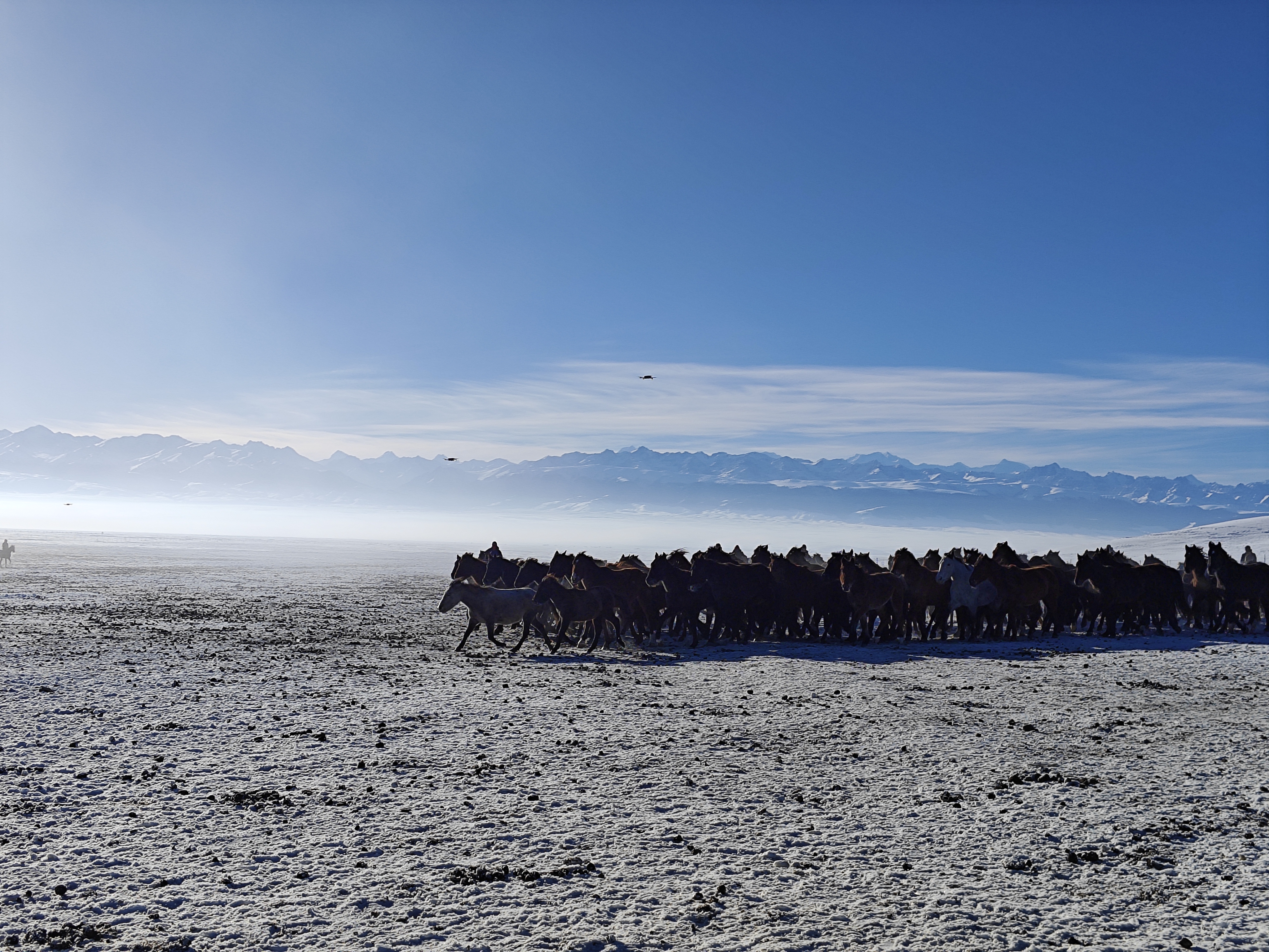 Horses run at a horse field in Zhaosu County, Kazak Autonomous Prefecture of Ili, northwest China's Xinjiang Uygur Autonomous Region, December 23, 2023. /CGTN