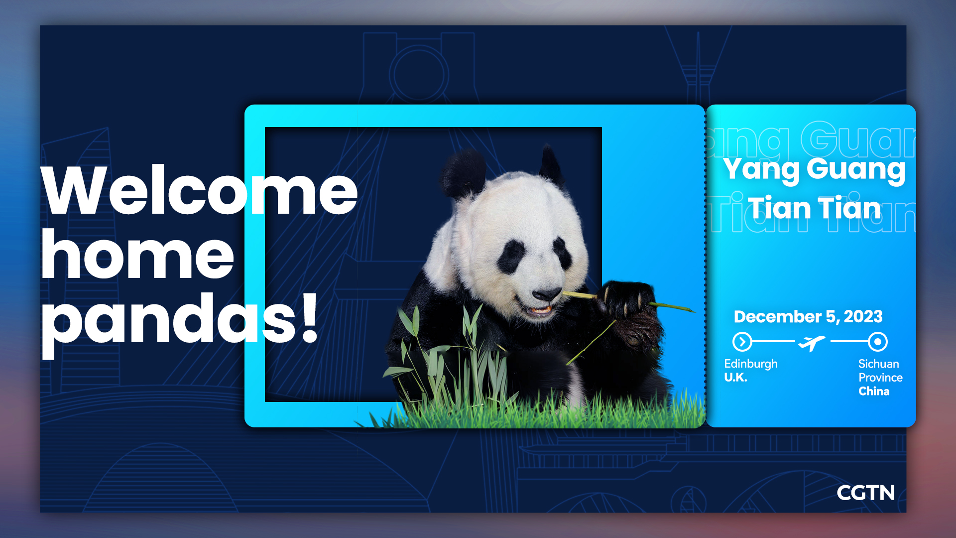 欢迎回家，熊猫！