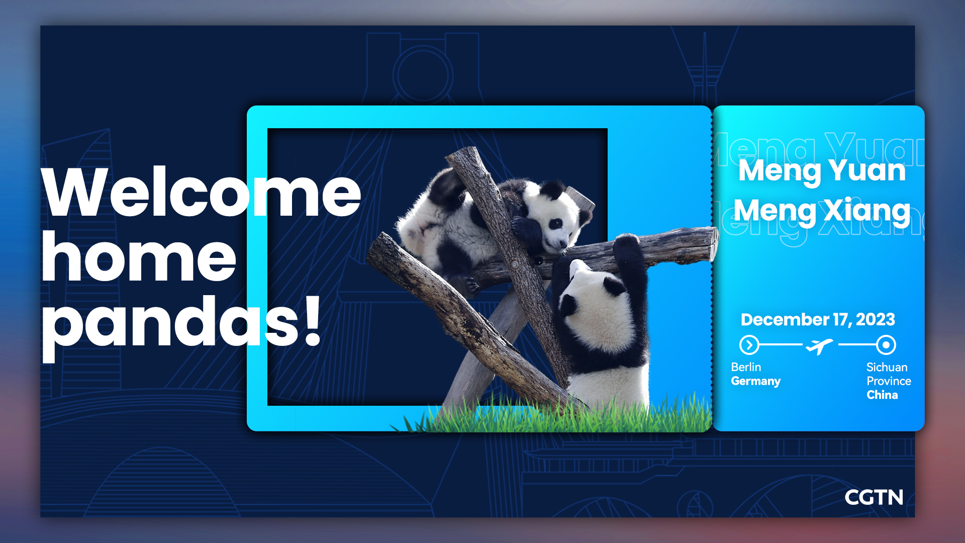 Welcome home, pandas!