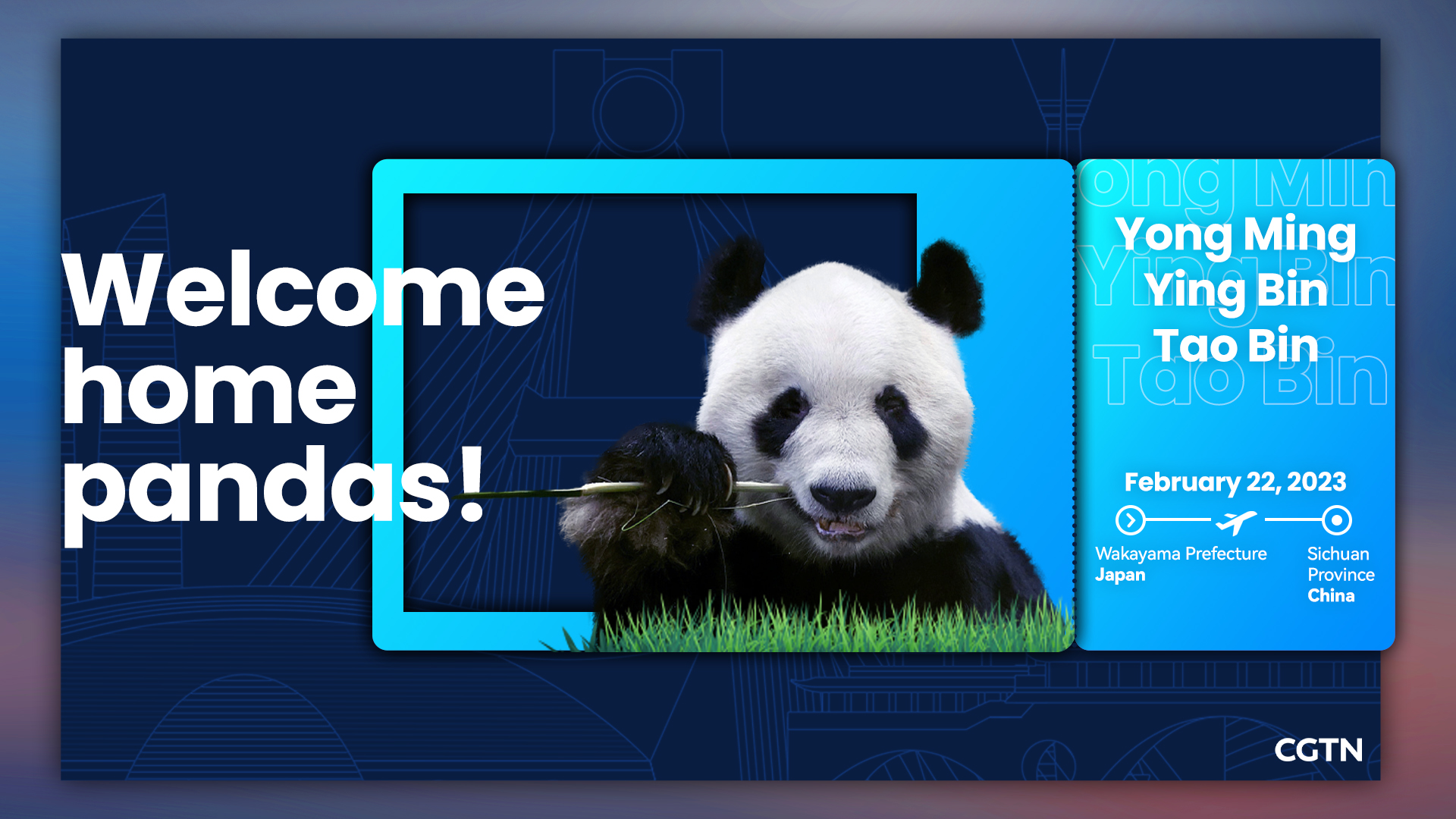 欢迎回家，熊猫！
