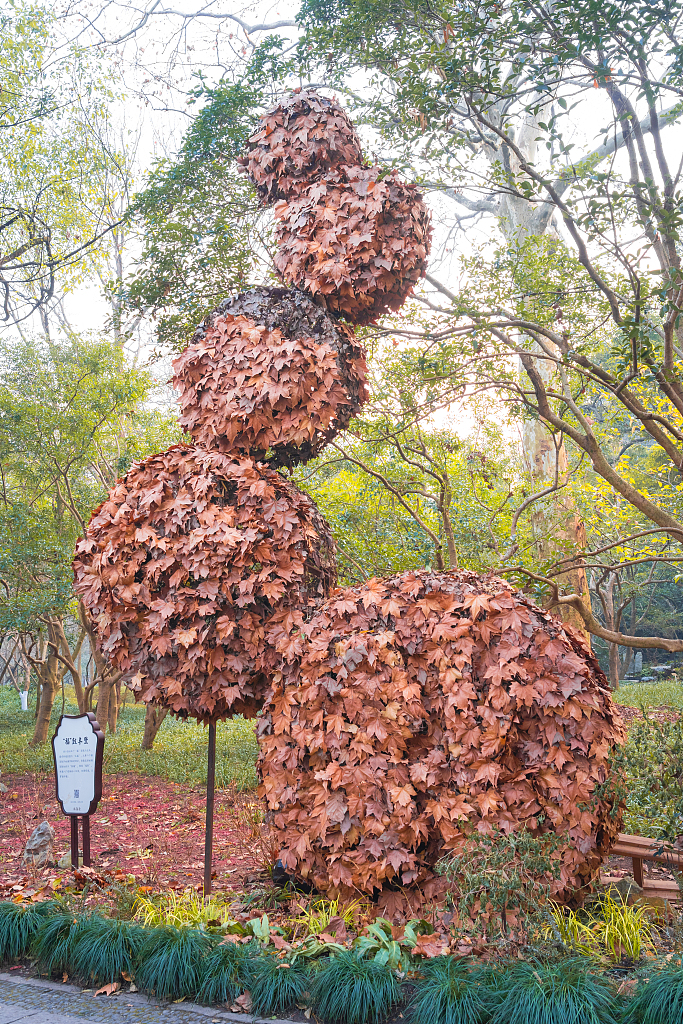 A photo taken on December 9, 2023 shows an installation made from fallen leaves in Hangzhou, Zhejiang Province. /CFP