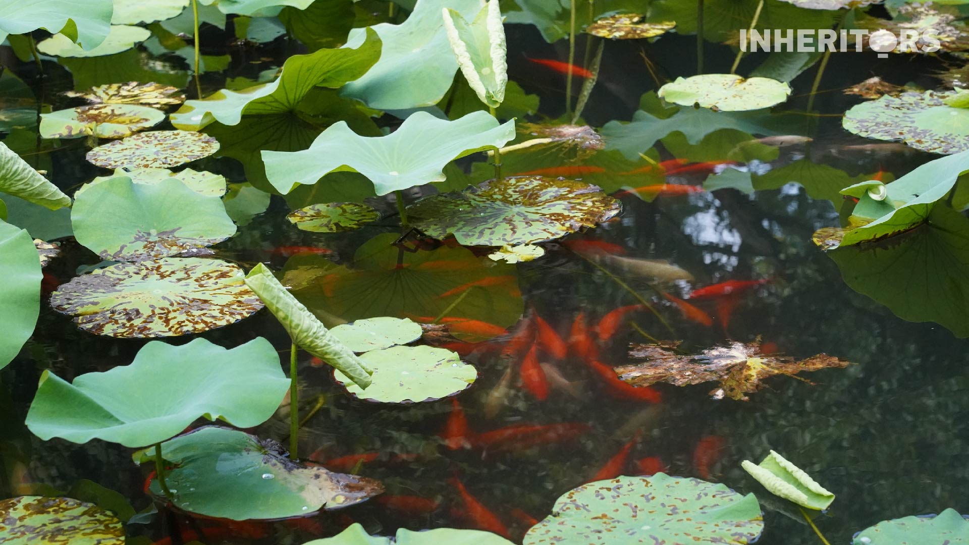 A photo shows a view of Suzhou, the 