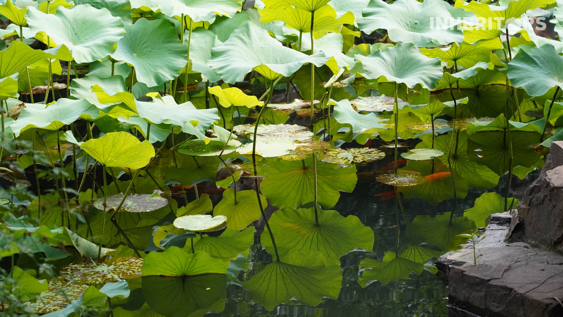 A photo shows a view of Suzhou, the 