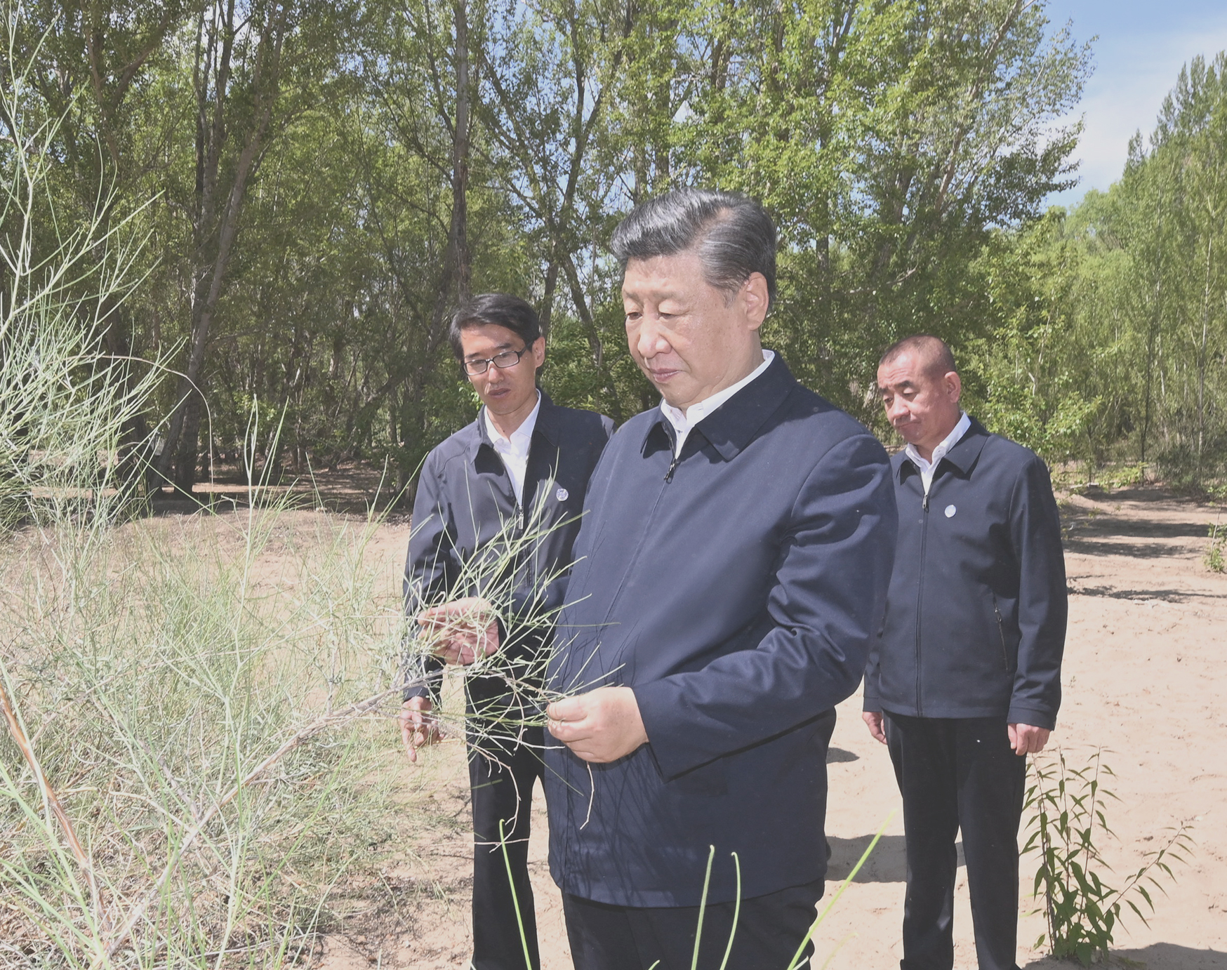 New photos on Xi Jinping's bookshelf during his 2024 New Year address