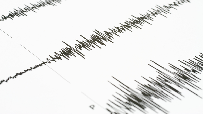 Live: M7.4 quake hits near coast of Honshu, Japan