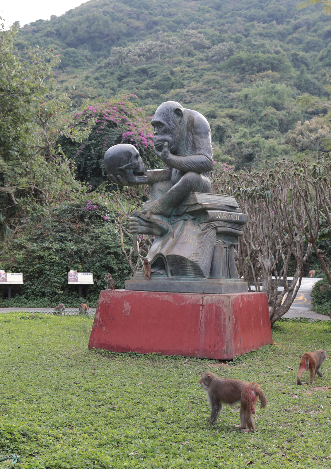 Macaques walk near a bronze statue named 