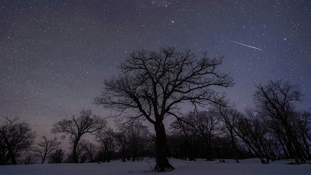 A meteor of the Quadrantids passes over the sky in Huinan County, Tonghua City, northeast China's Jilin Provice, January 4, 2022. /CFP