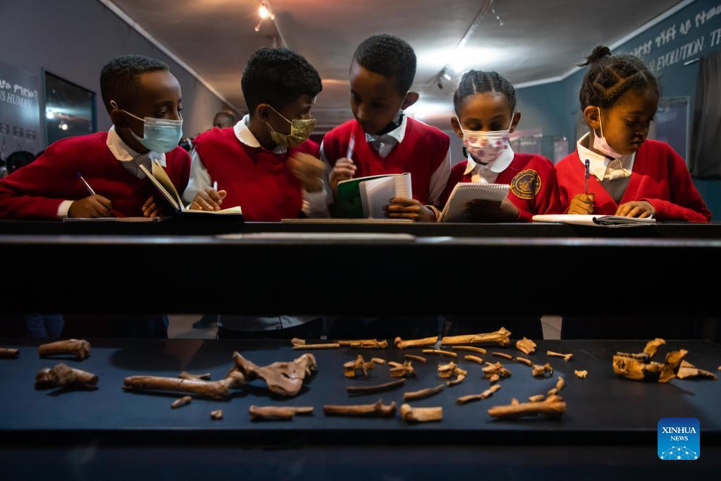 The National Museum of Ethiopia houses collections of precious heritages, including fossilized bones of a female of the hominin species Australopithecus afarensis, named 