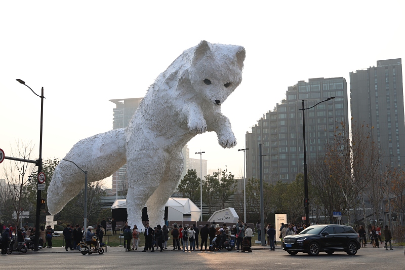 A giant Arctic fox installation is seen on a Shanghai street corner, January 6, 2024. /CFP