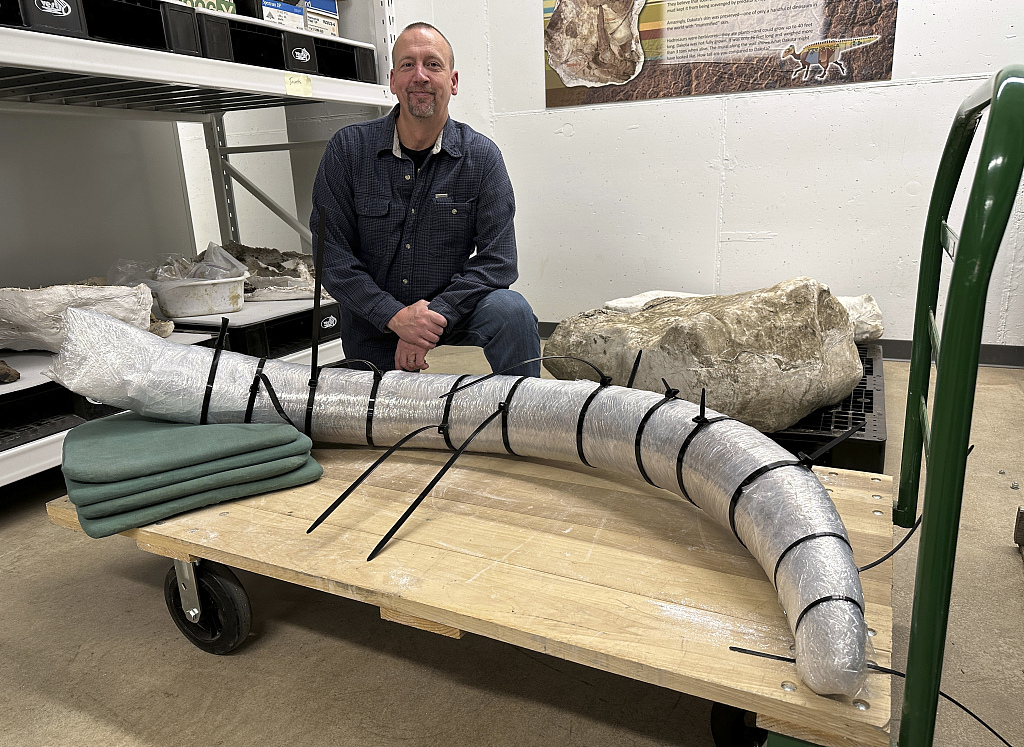 North Dakota Geologic Survey Paleontologist Jeff Person sits behind a 7-foot mammoth tusk on Dec. 19, 2023, at the Geologic Survey office in Bismarck, North Dakota. /CFP