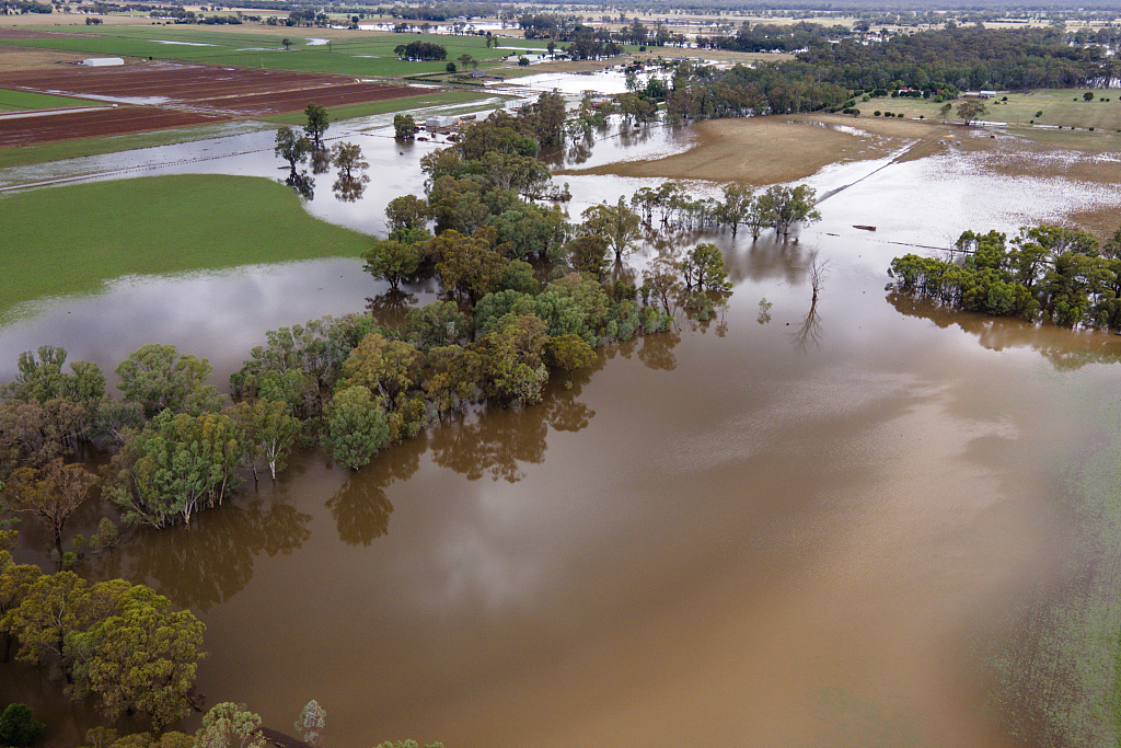 Farm land is flooded near Bendigo, Australia, January 8, 2024. /CFP